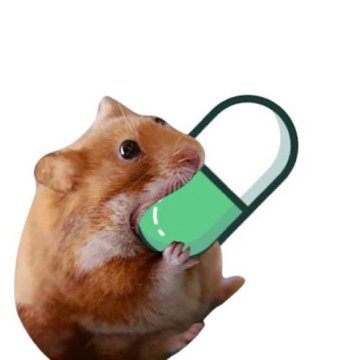Nomnom